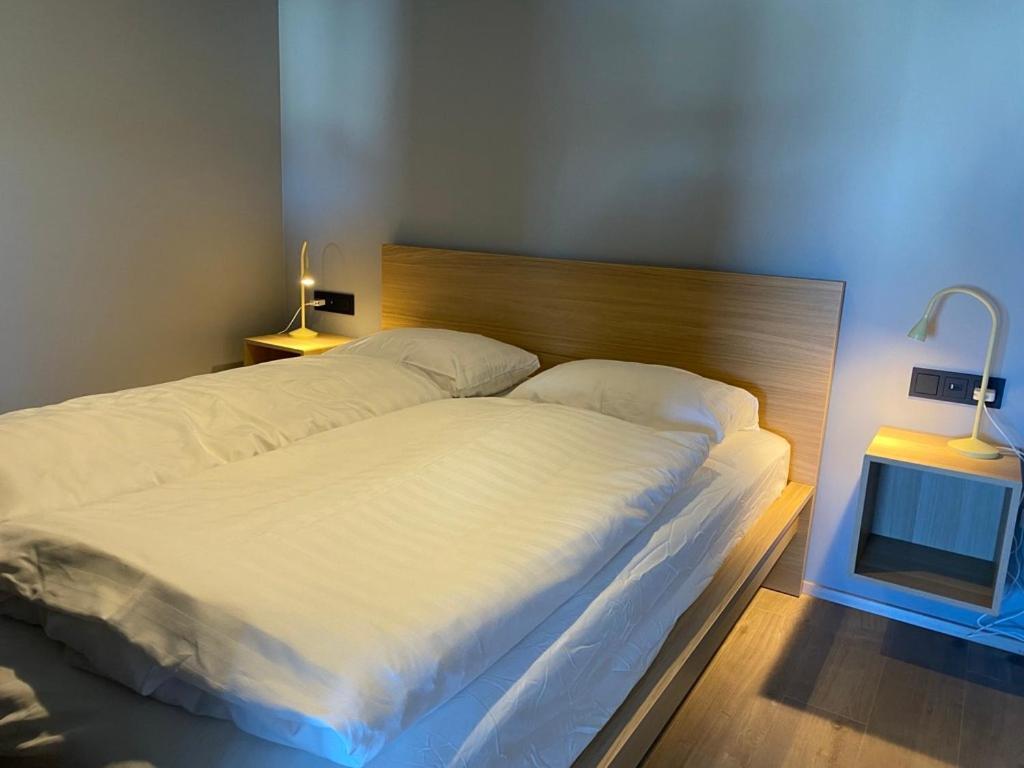Luxury Loft Apartment Akureyri Ngoại thất bức ảnh